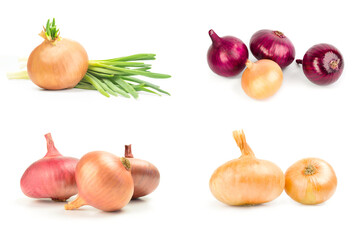Collection of Bulb of onion isolated on a white background with clipping path