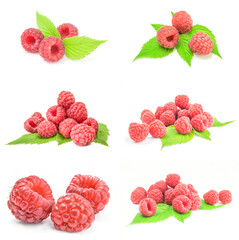 Collage of raspberries with leaves close-up isolated on white background