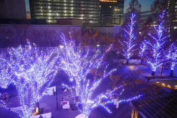 横浜みなとみらいのイルミネーション
