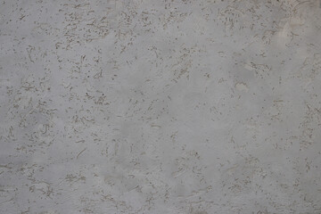 Decorative plaster bark beetle. Grey colour. Texture