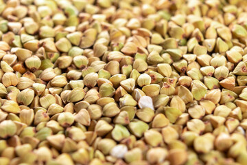 Green buckwheat. Heap of raw green buckwheat. Healthy dietetic vegan food