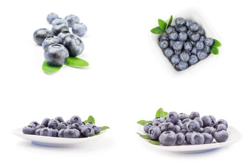 Group of bogbilberry isolated on a white background cutout