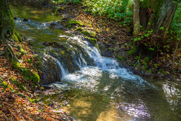 Obraz na płótnie Canvas Waterfall with creek