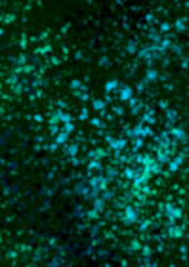 Abstract blurred turquoise background. Spots of light 