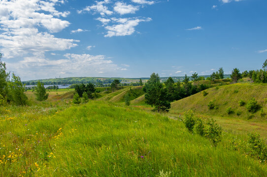 Summer landscape, river floodplain, picturesque shores, bright green grass with wild wildflowers, blue sky with white clouds, summer tender warm days,