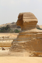 Sphinx. Monument of architecture of Egypt