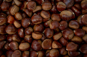 New harvest of fresh chesnuts on market