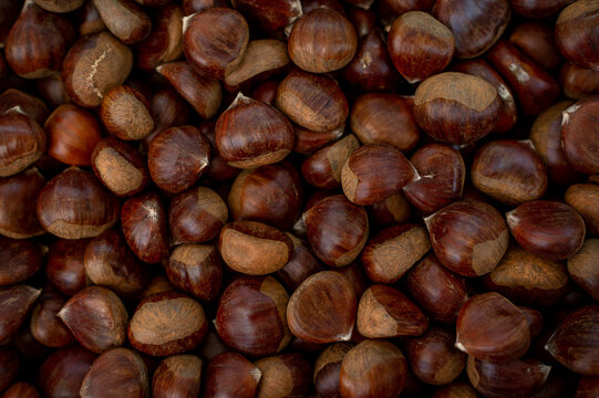 New harvest of fresh chesnuts on market