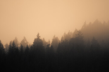 Obraz na płótnie Canvas misty morning in the mountains during sunrise