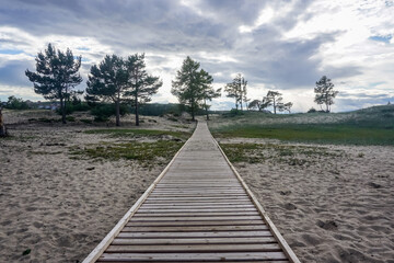 Fototapeta premium Wooden walkway in the sand