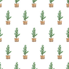 Seamless floral pattern. Watercolor background with plant in pot, christmas tree, botanical illustration for wrapping paper, textile, wallpaper