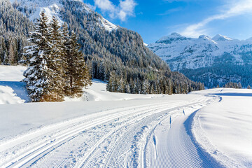 A beautiful cross-country trail runs through the fresh white snow in the area of ​​Gnadealm Obertauern, Austria.