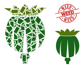 Simple geometric opium poppy head mosaic and Weed corroded seal. Red stamp seal includes WEED text inside round and lines form.