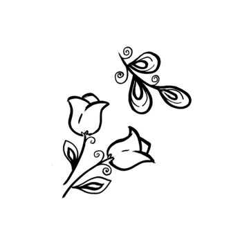 Monochrome Floral botanical flower campanula and leave. Isolated illustration element. Line art hand drawing wildflower on white background for frame or border, backdrop, texture, wrapper pattern