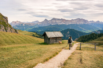young woman hiking with her dog in the dolomites mountains on peitlerkofel mountain on a sunny day