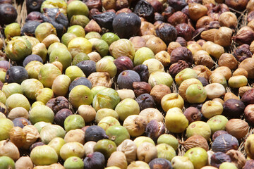 dried figs. dried soft figs from morocco, taberrant