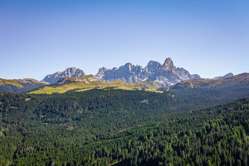 view on forest and pale di san martino mountains in the dolomites from above