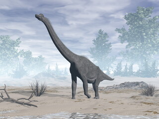 Fototapeta premium Brachiosaurus dinosaur in the desert - 3D render
