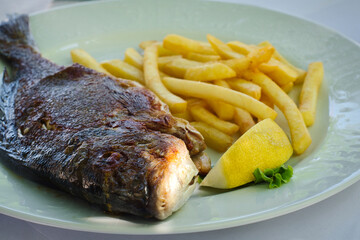 Grilled dorado fish and chips - French fries