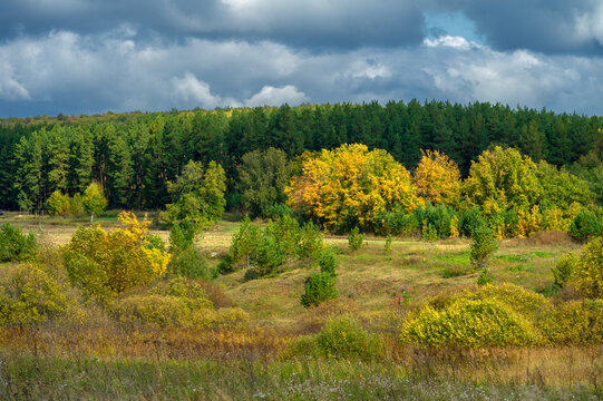 Autumn landscape photo. Wooded landscape of a European mixed forest in the fall season, large blue clouds, light breaks through, illuminating the ground