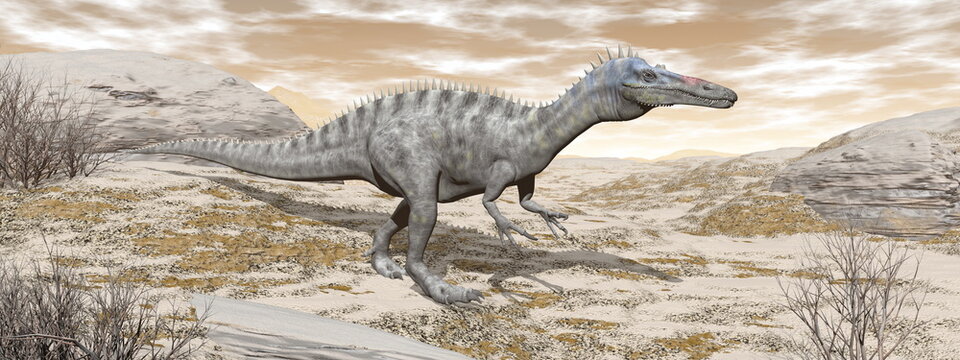 Suchomimus dinosaur in the desert - 3D render