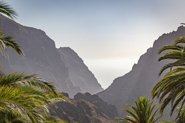 View of the cliffs of the Masca gorge in Tenerife - obrazy, fototapety, plakaty