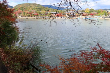 A view of Hozu-gawa River and Tourist Spot Arashiyama in autumn in Kyoto in Japan 日本の京都にある観光地嵐山と木津川の秋の風景