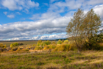 Autumn landscape photo. Mixed forests, meadows, ravines, cloudy sky, wonderful season.
