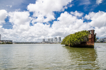 Fototapeta premium The spooky ship cemetery fully-grown mangrove trees 