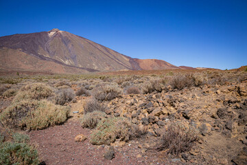 Plains view in Teide National Park with blue clear sky, Tenerife