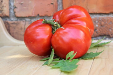 Ripe red tomato on a brick wall background.