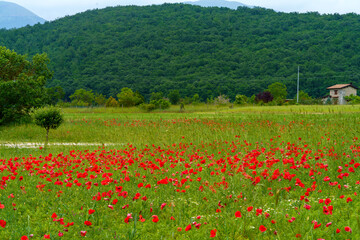 Landscape along the road to Forca Canapine, Umbria, Italy