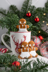 Christmas homemade gingerbread man cookies. Christmas mood. Nobilis branches with bright red balls