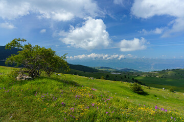 Naklejka na ściany i meble Mountain landscape at Gran Sasso Natural Park, in Abruzzo, Italy