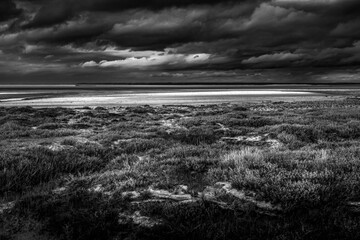 Baie du mont St Michel - Herbus