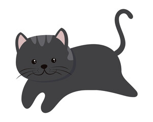 cute dark cat