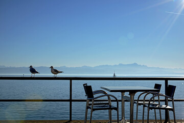 Friedrichshafen am Bodensee, an der Promenade mit Alpen