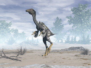 Fototapeta premium Caudipteryx dinosaur in the desert - 3D render