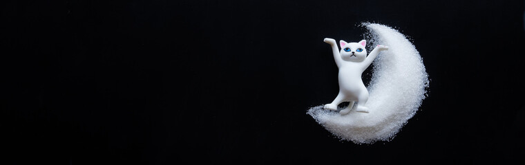 Funny toy cat sits on a white powder moon. Black background. The concept of predictions of the...