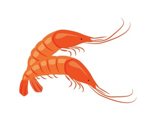 Fresh shrimps in flat style, seafood. Vector illustration for the menu of fish restaurants, for packaging in markets and shops.