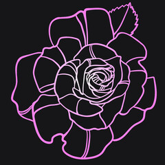 Illustration with a rose. Drawing with a black outline on a white background. - 476742592