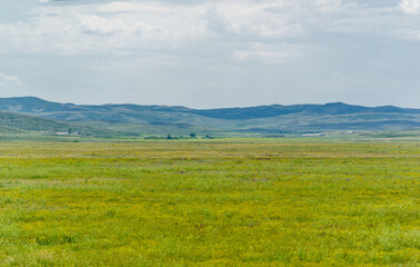 Fototapeta na wymiar steppe, prairie, veld, veldt - The largest steppe region in the world, often referred to as the 