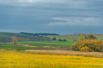Fototapeta na wymiar Autumn landscape photography. The European part of the land, fie