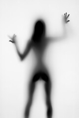 silhouette of a beautiful sexy young woman