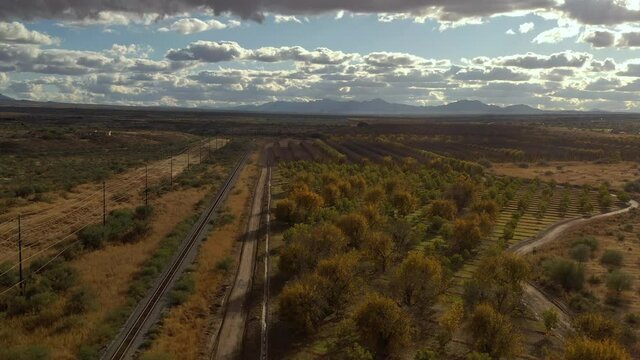 Road and train tracks leading into distance lined with pecan orchard in fall colors, drone forward.