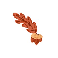 Obraz premium Dry autumn oak tree leaf with acorn nuts. Fall foliage leaves in September. Brown October leafage. Modern botanical flat vector illustration of plant isolated on white background