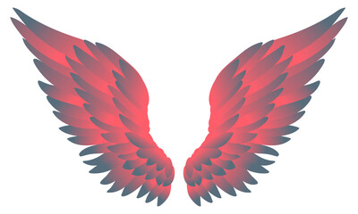 Beautiful tender grey pink gradient wings, color vector illustration