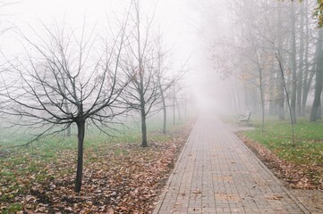 Thick fog in empty autumn park with paved path and bare trees