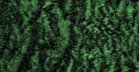 Velvet. Plush. Deep euirid green. fabric with an even pile, longer and less dense than velvet....