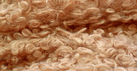 karakul artificial ram skin. beige color. incredibly high-quality artificial eco-fur under a young...